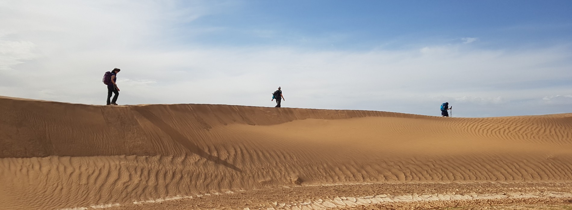 Trekking the dunes in the Sahara