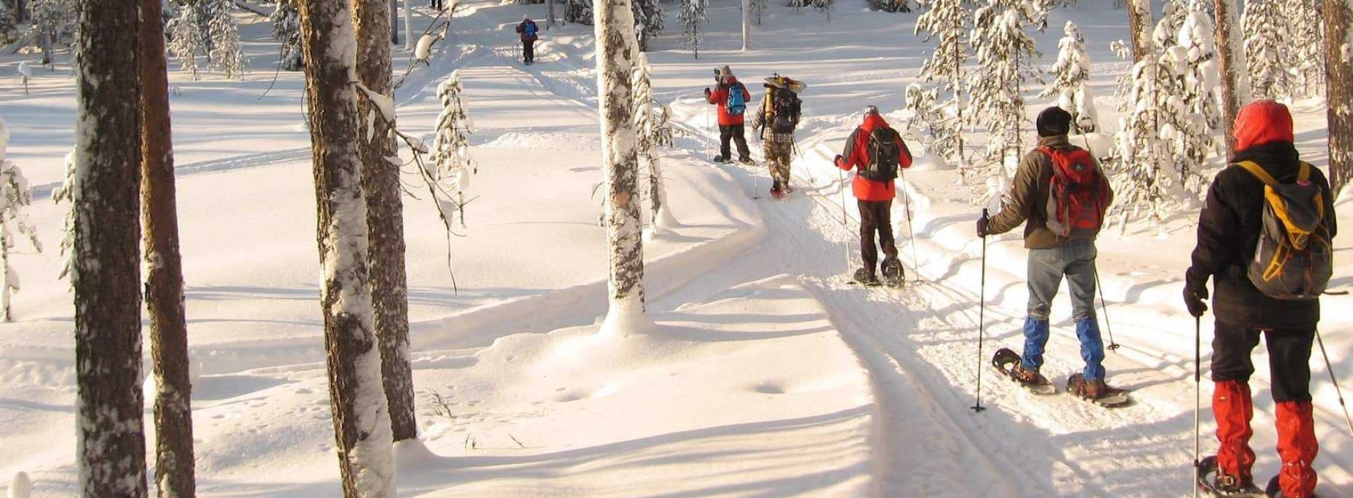 Snowshoeing in forest