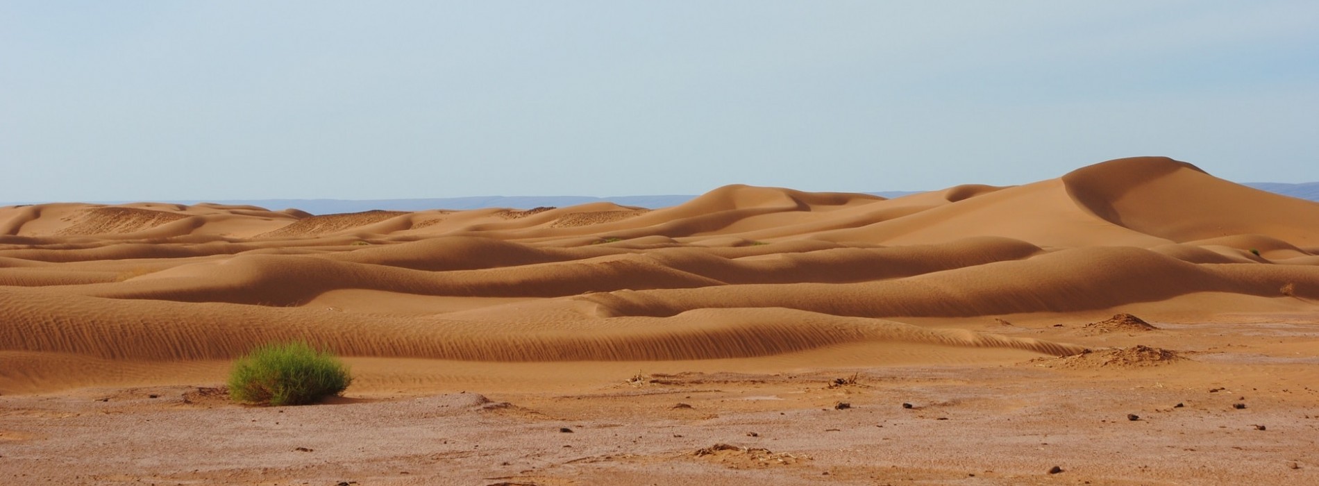 Mesmerising desert landscapes