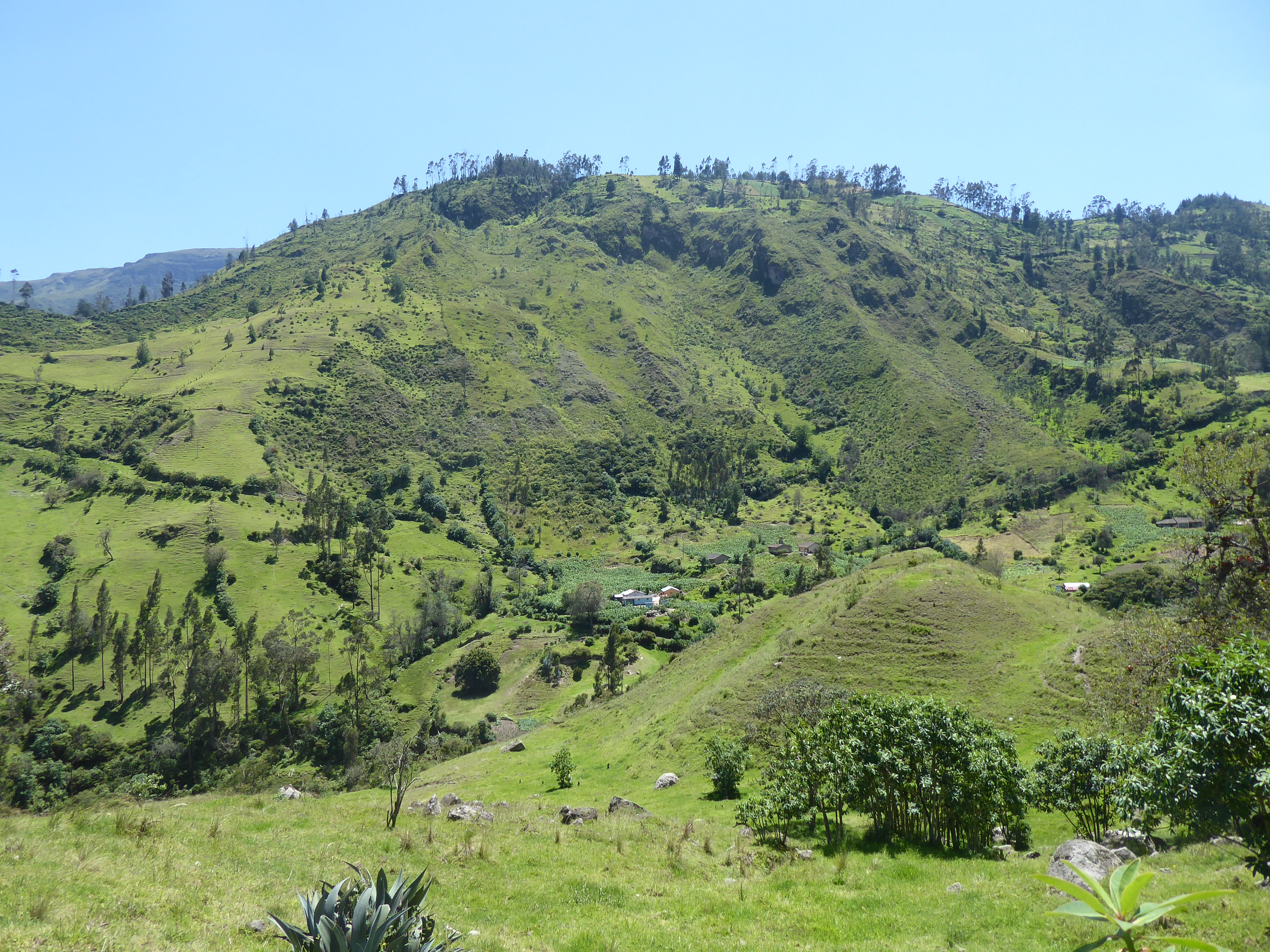 World Land Trust