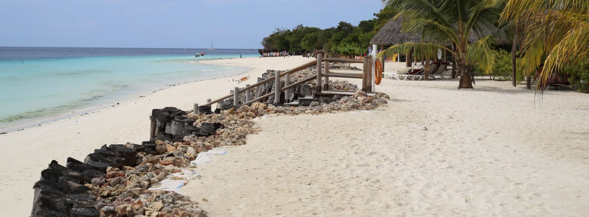 Zanzibar Extension website