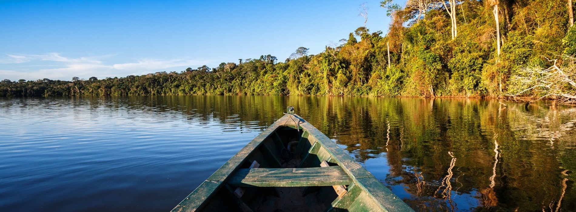 Amazon Rainforest by boat