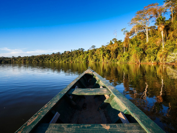 Amazon Rainforest Extension