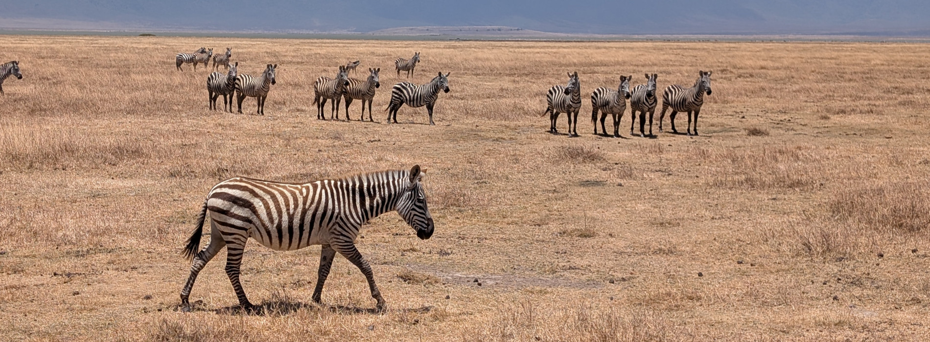 Ngorongoro Safari Extension Website