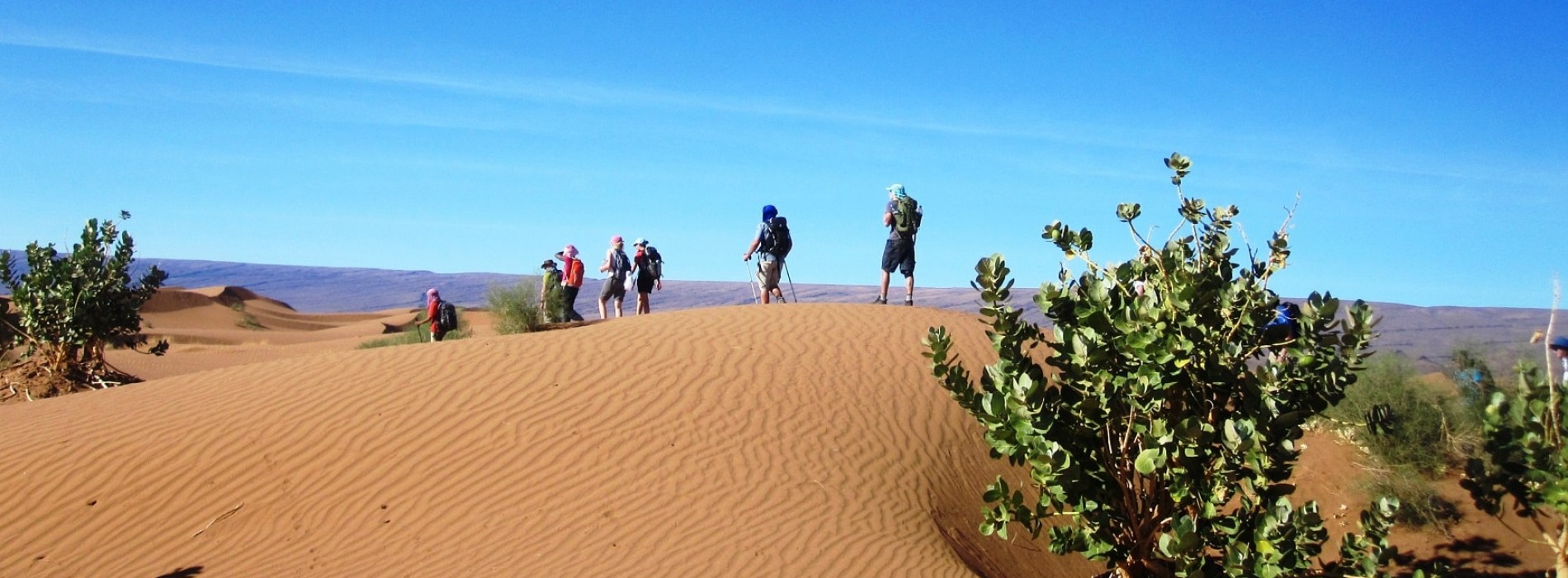 Perfect wind-blown sand dunes