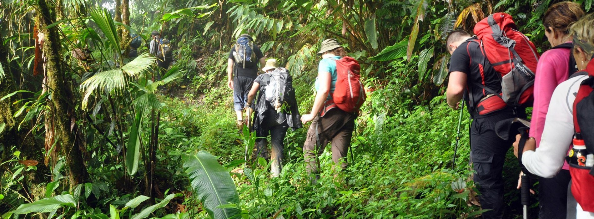 Jungle trekking in Costa Rica