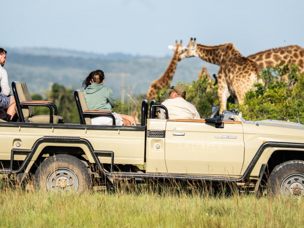 South Africa Safari Extension