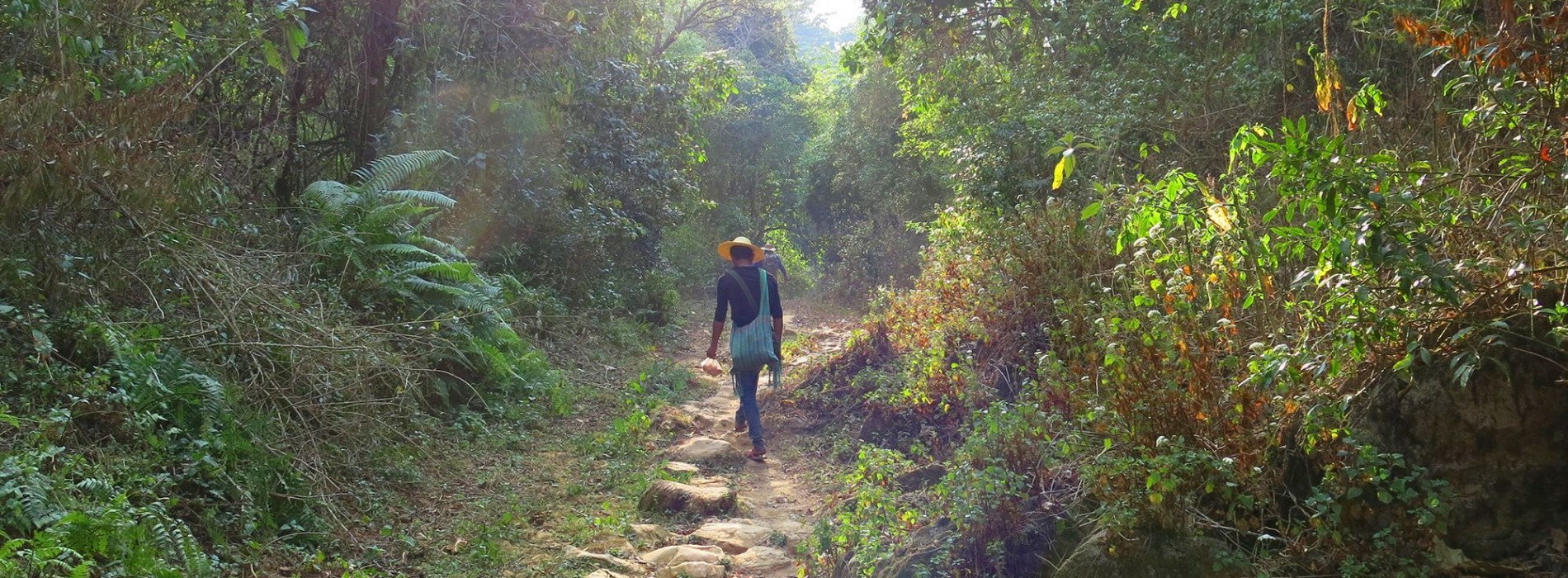 Trekking_through_forested_hills_Burma.jpg