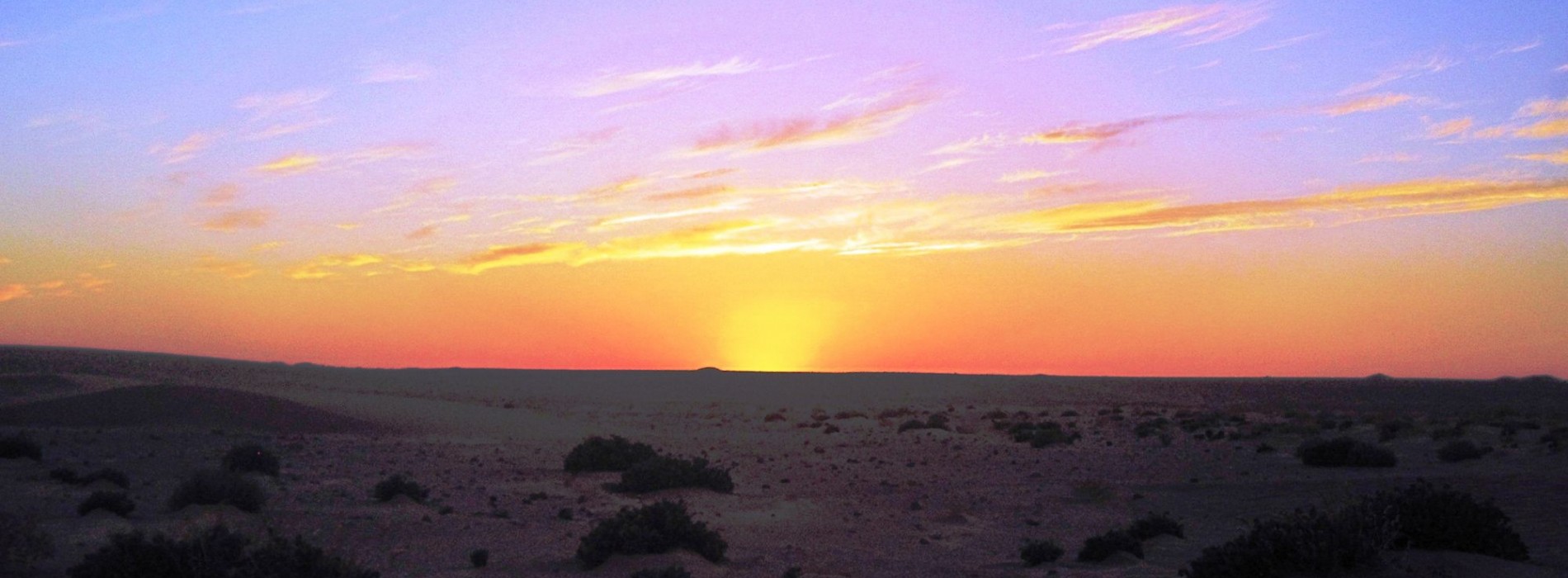 Sunrise in the Sahara Desert