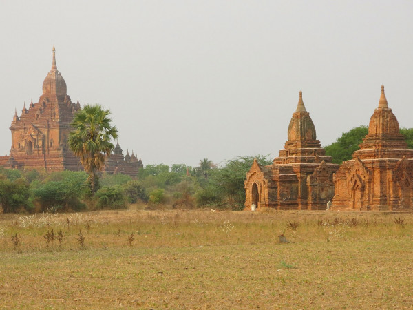 Discover Bagan