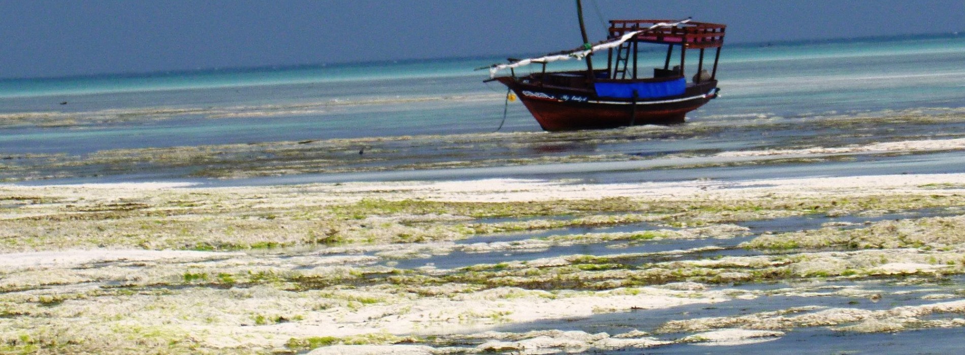 White_sand_beaches_of_Zanzibar.jpg