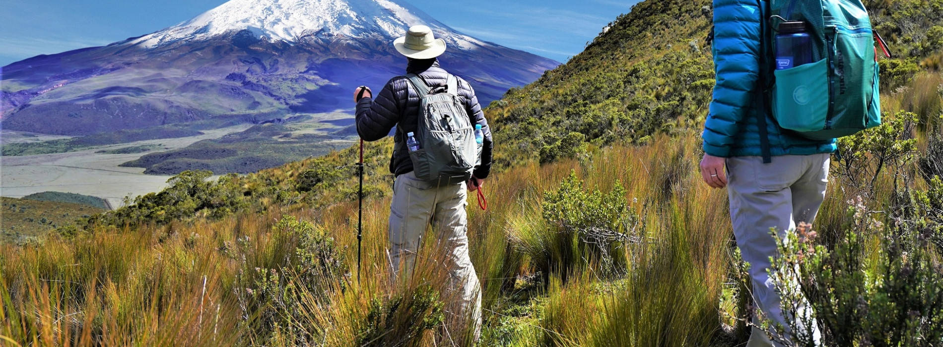 Acclimatisation Trek to Cotopaxi Viewpoint