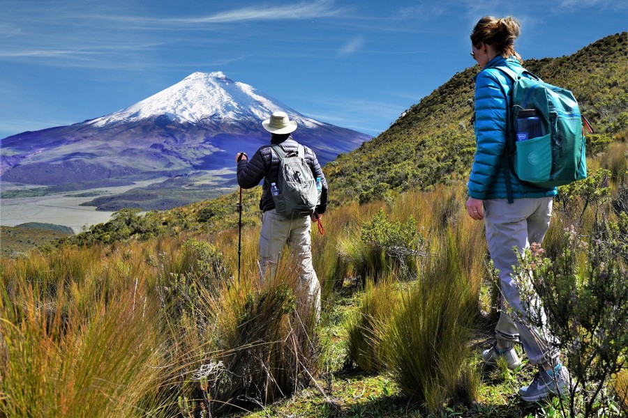 trek ecuador precios