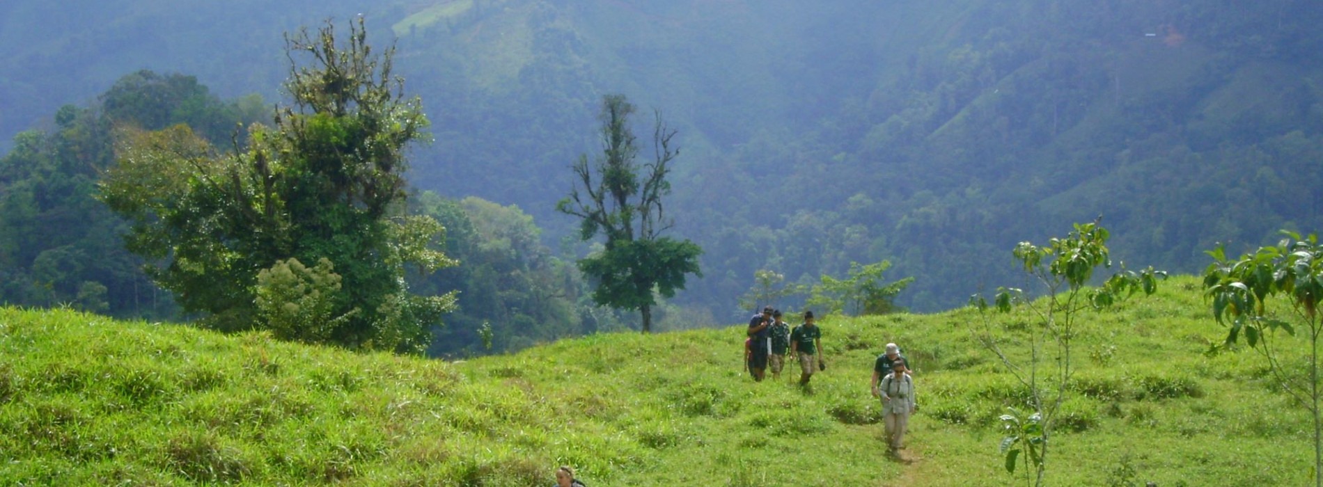 Open pastures near lowland village