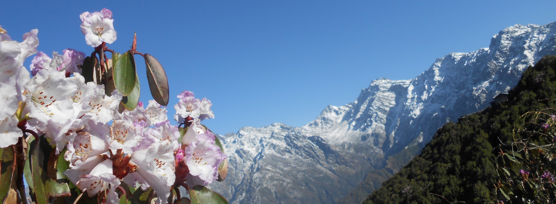 the high mountains beyond