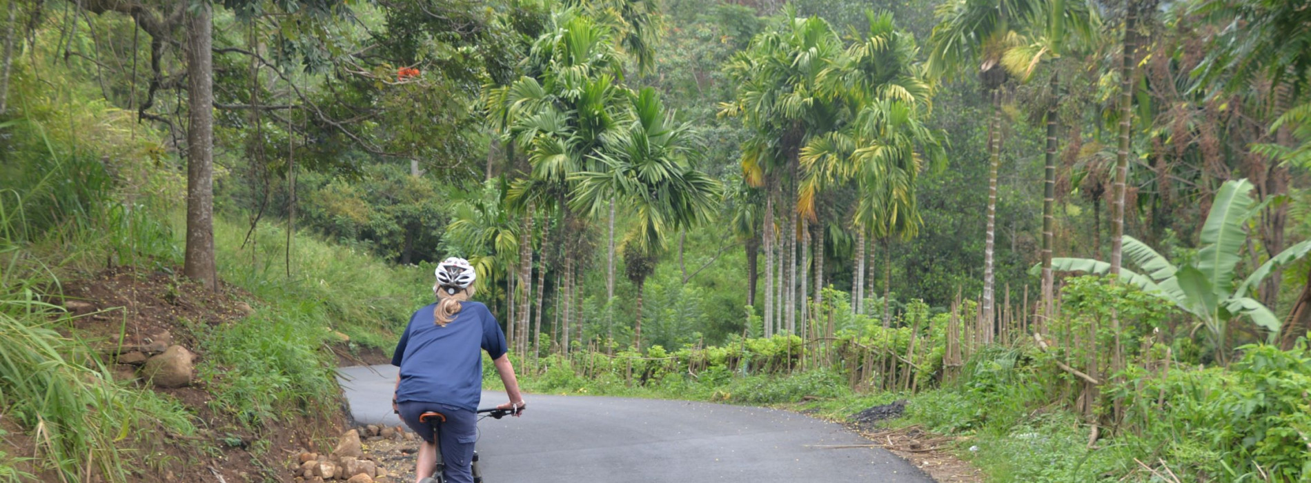 Our route passes through lush green forest