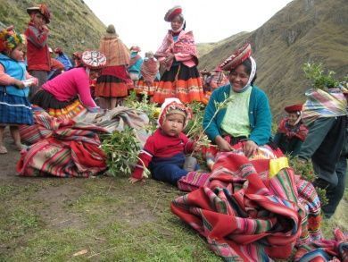 We've helped to plant 67,000 trees in Peru