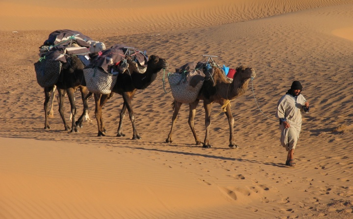 Sahara trek